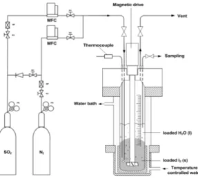 Fig. 1 Schematic diagram of experimental apparatus for the  Bunsen reaction