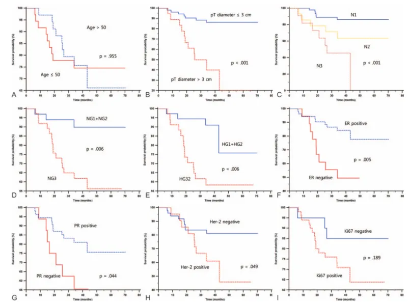 Figure 1. Kaplan–Meier curves of RFS for clinicohistologic variables: (A) Age, (B) pT diameter, (C) pN stage, (D) nuclear grade, (E) histologic grade, (F) ER status, (G) PR status, (H) Her-2 status, and (I) Ki67 overexpression