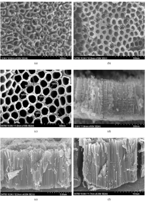 Fig. 1 SEM images of the selected samples; (a)~(c) top views and (d)~(f) side views for the short, medium and long  anodized TiO 2  tubes, respectively