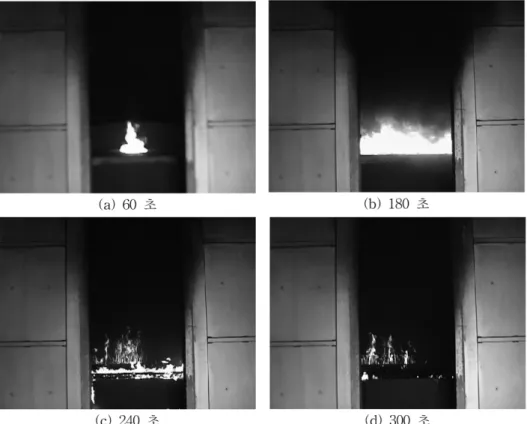 Figure 10.  Photographs of the bed with time.