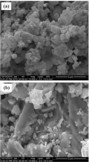 Fig. 3 The result of specific surface area on V-1Al and V-5Al  composites