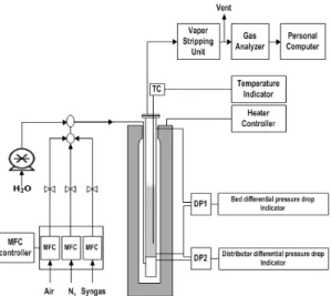 Fig. 3 Schematic diagram of a batch type fluidized bed 또한  실험을  통해  결정된  촉매/흡수제  혼합비  조건 에서  장시간  동안의  WGS  반응을  통해  반응성이  유 지되는지를  확인하였다