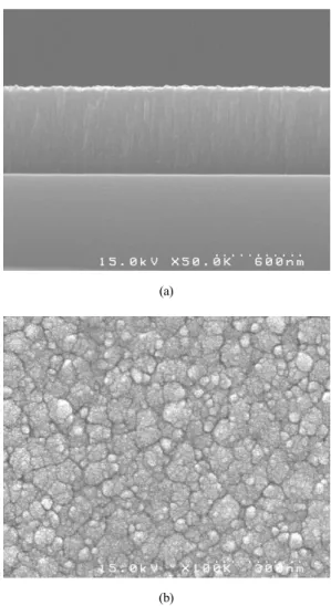 Fig. 1 Scanning electron micrograph (a) cross section and (b)  surface morphologic of the FTO film coated on SUS316 substrate  prepared by ECR-MOCVD