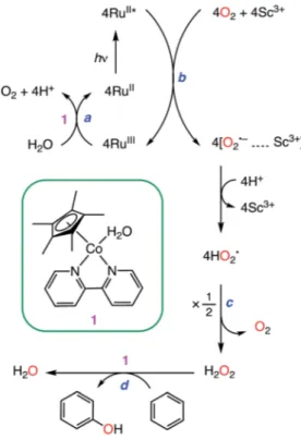 Fig. 1 Time courses of the products [PhOH (blue) and p-benzoqui- p-benzoqui-none (red)] obtained in the photocatalytic oxidation of benzene by O 2 with [Ru II (Me