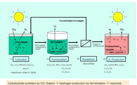 Fig. 3. Hybrid system of Photo- and dark fermentation.