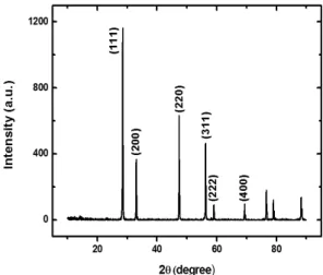 Fig. 1 Schematic of electrode configuration