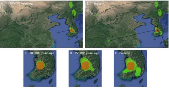 Figure 7 MCC Bayesian phylogeographic projections for Bufo gargarizans at different times scales