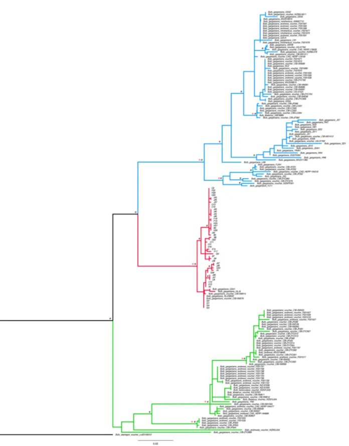Figure 2 Best Maximum Likelihood tree (n = 181) recovered from the RAxML analyses and BI for the ND2 and CR fragments, displaying the genetic structure of Bufo gargarizans from the Korean Peninsula and mainland Chinese localities