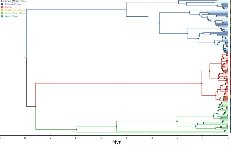 Figure 3 MCC discrete coalescent tree (n = 148) of Bufo gargarizans. Node circle are colour coded by localities and sizes correspond to prob- prob-ability of the locality origin