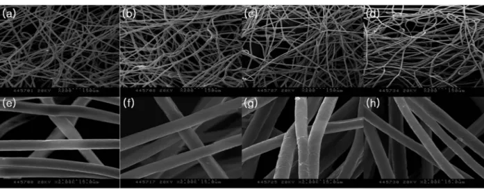 FIG. 2. SEM images of PLLA electrospun scaffold. (a), (e) untreated scaffold; (b), (f) 30 s plasma-treated scaffold; (c), (g) 5 min plasma-treated scaffold; and (d), (h) 10 min plasma-treated scaffold.