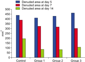 Fig. 4. Denuded area at days five, seven, and 14 post-injury in  each group (mm 2 ).