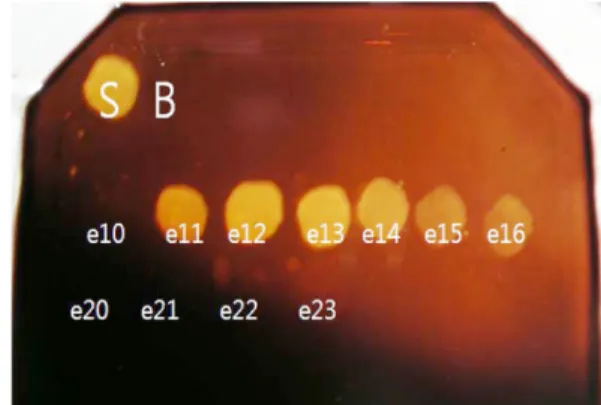 Fig. 8. The agarase activity of elution fraction at gradient elution by increasing NaCl concentration: S, crude enzyme; B, 25 mM Tris buffer (pH 8.0); e, elution fraction).