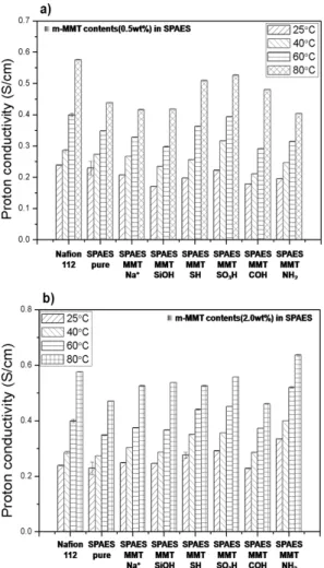 Fig. 6 Representative molecular interactions in SPAES-MMT_ 