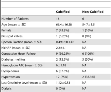 Figure 1. Calcification and endothelial staining of AV cusps. Valves were obtained from either heart transplant (non-calcified) or valve replacement (calcified) surgeries, snap frozen and sectioned