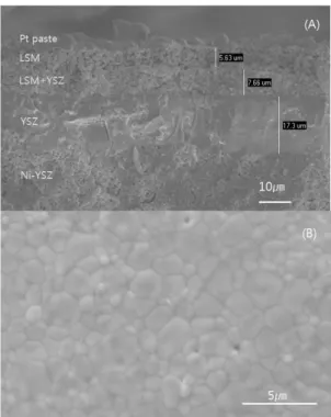 Fig. 3 Scheme of the solid oxide cell.