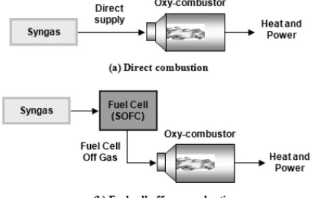 Fig. 1 Two scenarios for syngas combustion.