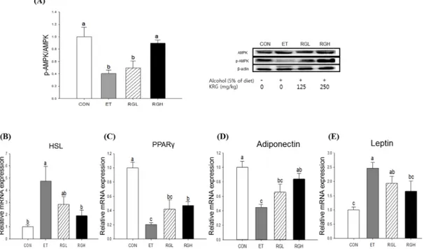 Figure 5. Protein phosphorylation and mRNA expression in adipose tissue of rats fed alcohol  and KRG for 6 weeks