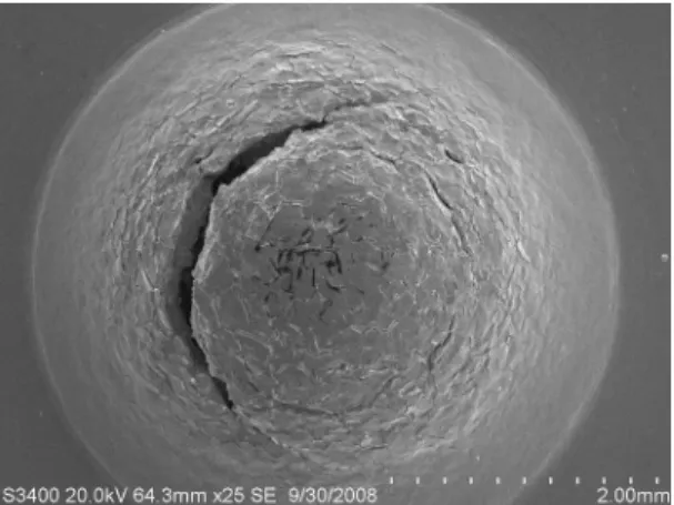 Fig. 9 SEM photograph of CH2. 