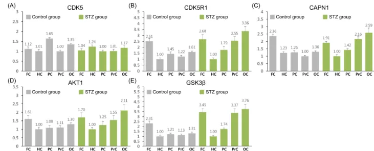 Figure 3. Quantitative expression analysis of tau phosphorylation-related genes in control 