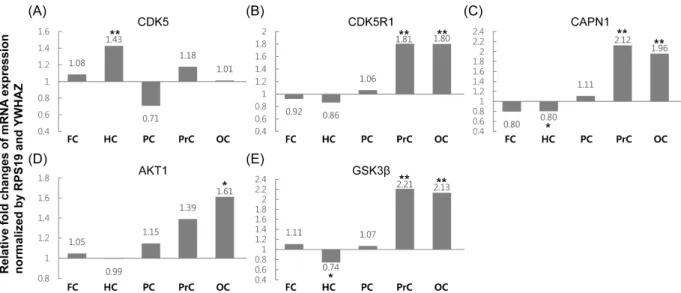 Figure 4. mRNA levels of tau phosphorylation-related genes in the five selected brain areas 