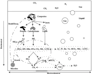 Fig. 3. Conversion processes in anaerobic digestion[9].