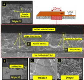 Fig.  2.  Result  of  Crack  Analysis