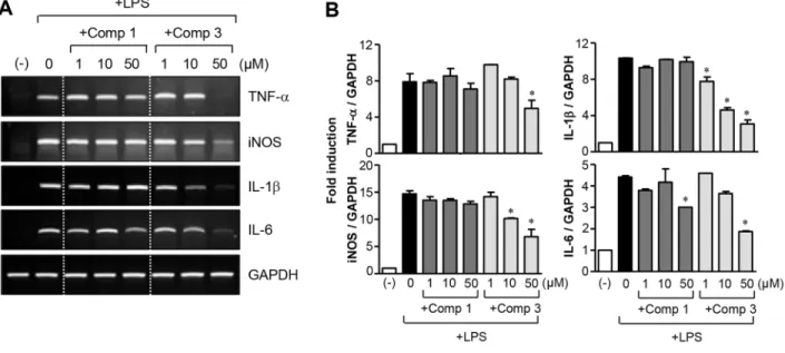 Figure 2: Effects of comp 1 and 3 on mRNA expression of proinflammatory molecules.  (A, B) BV2 cells were pre-treated  with comp 1 or 3 for 1 h, followed by LPS (100 ng/ml) treatment for 6 h, and total RNA was isolated