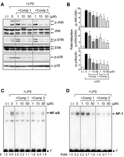 Figure 4: Effects of comp 1 and 3 on the phosphorylation of MAPKs, as well as NF-κB and AP-1 activity