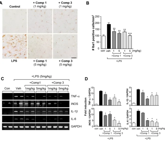 Figure 6: Comp 1 and 3 suppress microglial activation and the expression of pro-inflammatory molecules in LPS- LPS-induced sytemic inflammation