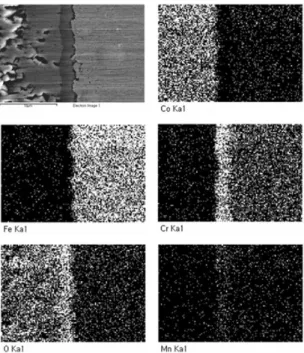 Fig. 3 Elemental mappings of the cross-section of cobalt coated  SUS 444 after oxidation at 800 ℃  in air for 1020 h.
