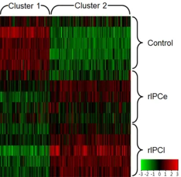 Fig 2. Hierarchal cluster analysis of 1,053 altered genes. The genes were divided into two clusters via K- K-mean hierarchal cluster analysis