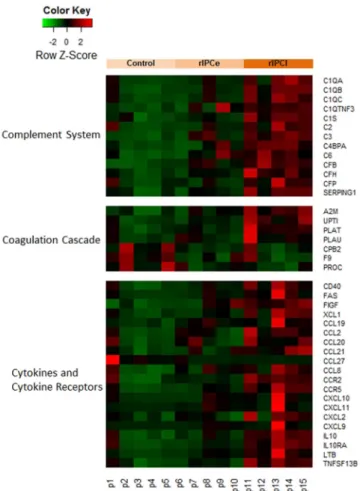 Fig 6. Heatmap signature of suggested pathways by DAVID. rIPCe, remote ischemic preconditioning immediately prior to ischemia (early); rIPCl, remote ischemic preconditioning followed by ischemia 24 hours later (late).
