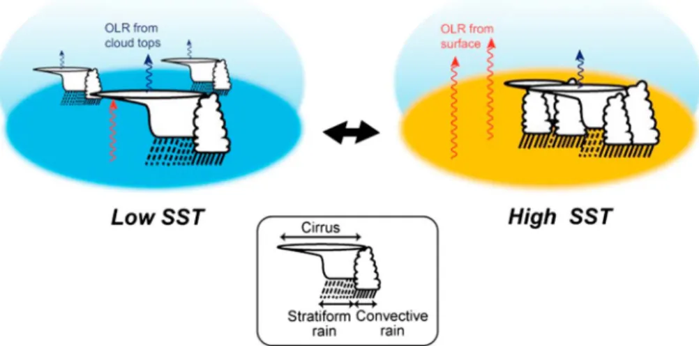 Figure 7. An illustration of the concentration effect of deep convective clouds (DCCs) over the TWP region