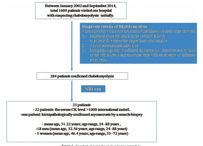 Figure 1. Flowchart showing the study selection procedure.