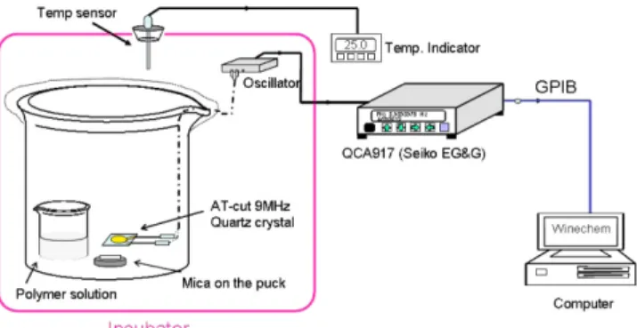 Fig. 5. Vapor self-assembly procedures of L-PA(a), D-PA(b) moni- moni-tored by QCM techniques
