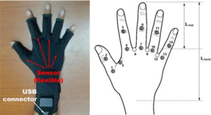 Fig.  5  5DT  14-Ultra,  Fifth  Dimension  Technology  Co.  (left)  and  Placement  of  14  sensors  in  the  data  glove  (right)