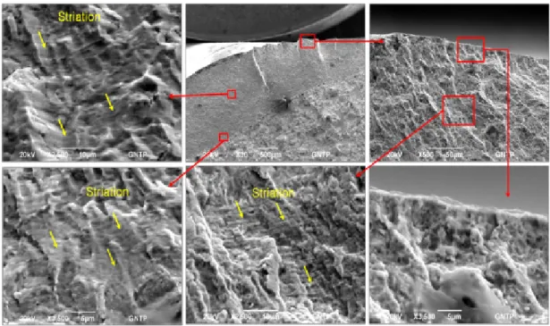 Fig.  9.  SEM(Scanning  Electron  Microscope)  analysis  of  Fracture  Surface 3.  폐쇄기  내구성  향상  연구 내충격성 향상을 위해 소재를 기존 SNCM439에서 포 열 소재로도 많이 사용되고 있는 MIL-S-46119로 변경 하였다