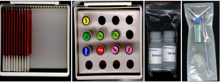 Fig. 1. DNA chip kit (MY-HPV chip kit Ⓡ , Mygene Co.).서    론 두경부암은  전  세계적으로  6번째로  호발한다