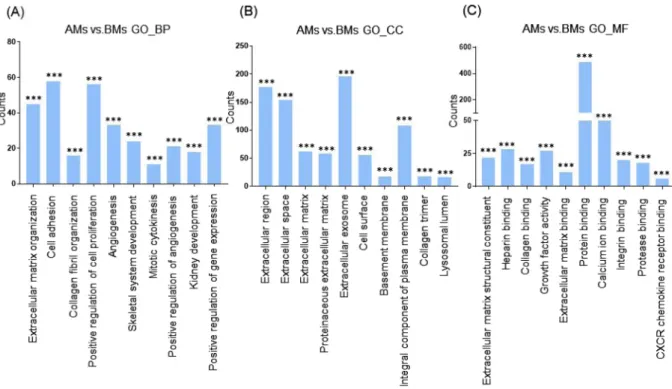 Figure 2.  Functional enrichment analysis of highly regulated genes: AMs and BMs. Distribution of gene 