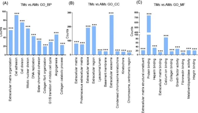 Figure 5.  Functional enrichment analysis of highly regulated genes: TMs 3,4 and TMs 1, 2