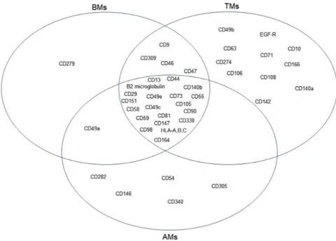 Figure 6.  Venn diagrams of surface marker expression on BMs, AMs, and TMs. Lyoplate analysis of surface 