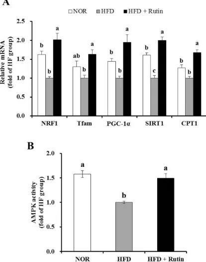 Figure 4. Effect of rutin on mitochondrial gene expression of genes related to mitochondrial  biogenesis and function in skeletal muscle