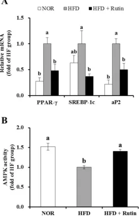 Figure 2. Effect of rutin on adipogenic gene expression and adenosine monophosphate- monophosphate-activated protein kinase (AMPK) activity in adipose tissue