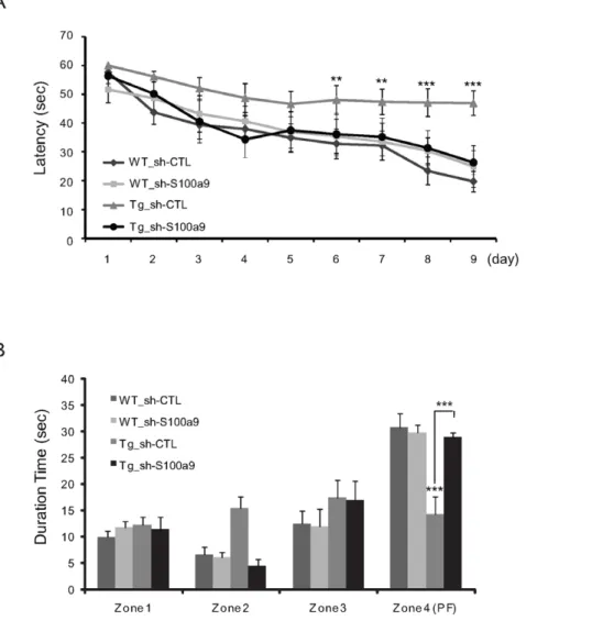 Figure 4. Treatment with shRNA-S100a9 attenuated learning and memory impairment in Tg2576 mice