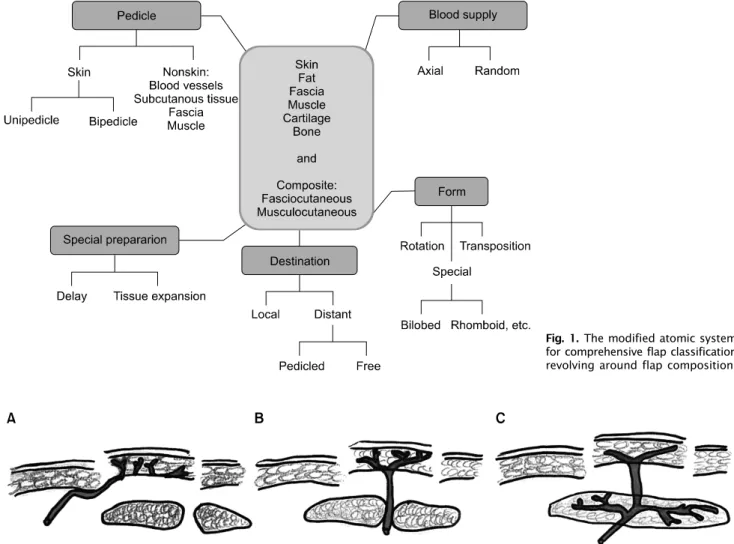 Fig. 1. The modified atomic system for comprehensive flap classification revolving around flap composition.