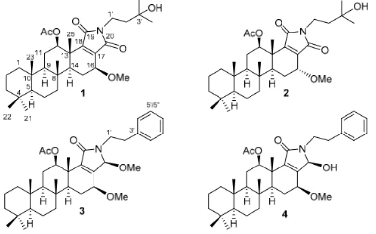 Figure 1. Scalalactams A –D (1–4). 2. Results and Discussion 