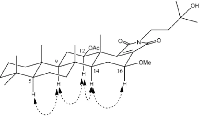 Figure 3. Key NOESY correlations of 1. 