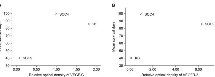 Fig. 9. (A) VEGF-C/(B) VEGFR-3 and survival distribution of mice injected with three different oral SCC cell lines