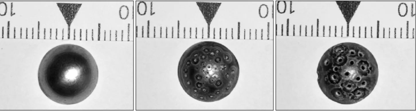 Fig. 1. The titanium cap had a height of 4.0 mm, diameter of 10.0 mm, thickness of 0.1 mm.서    론임플란트  시술의  증가로  치아와  치조골의  수복을  위한  골이식이  일반화되고  있다[1]