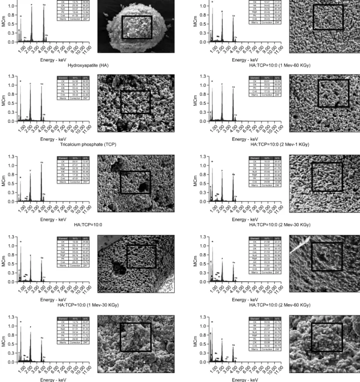 Fig. 5. Basic elementary analysis and their comparisons between HA, TCP, and their 7:3 ratio’s mixtures under electron beam irradiations of 1∼2 MeV, 1∼60  KGy,  in  the  field  emission  scanning electron  microscopy (FE-SEM)  by  using  of S-4200 Ⓡ  (Hita